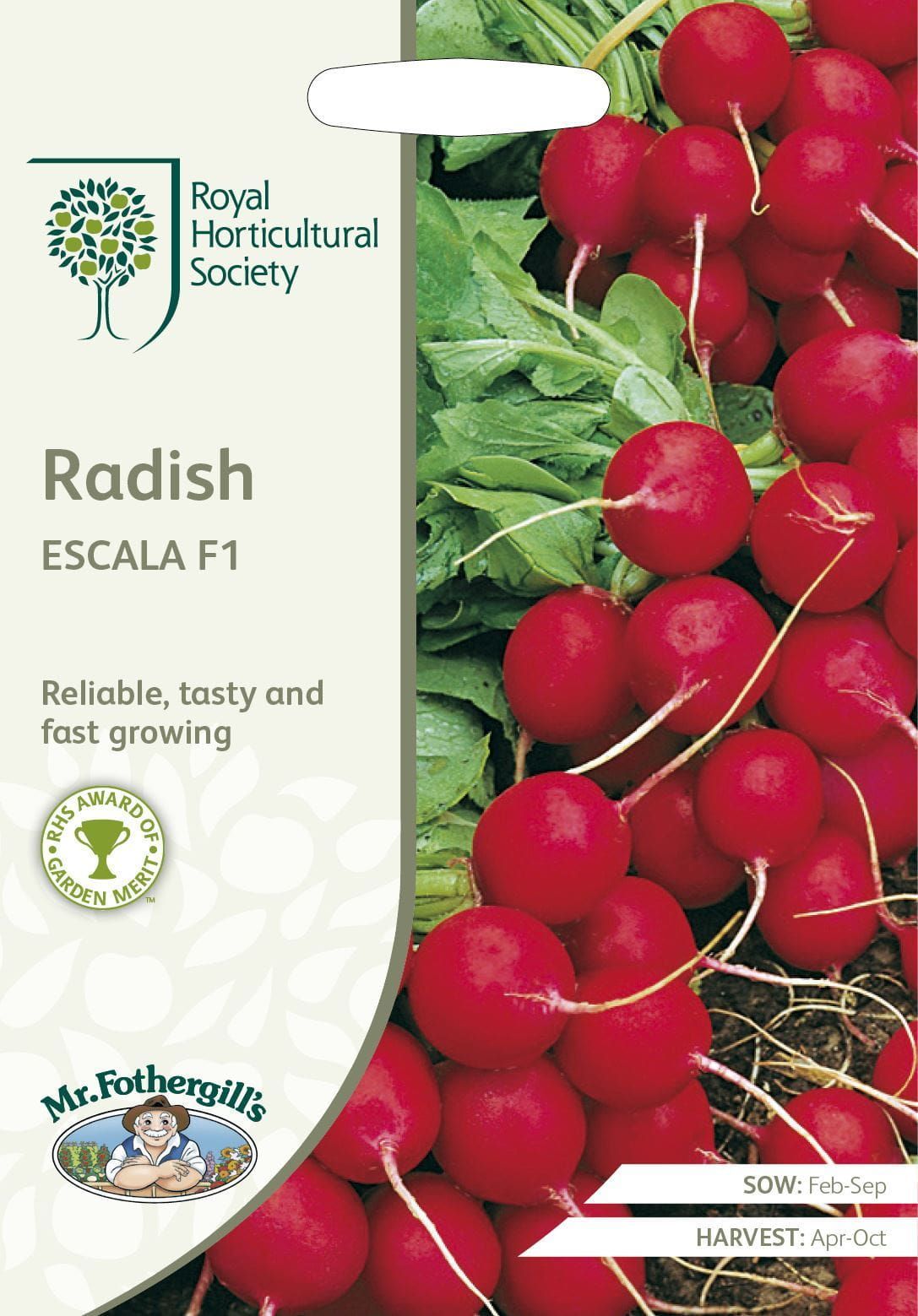 Mr Fothergills RHS Radish Escala F1 500 Seeds