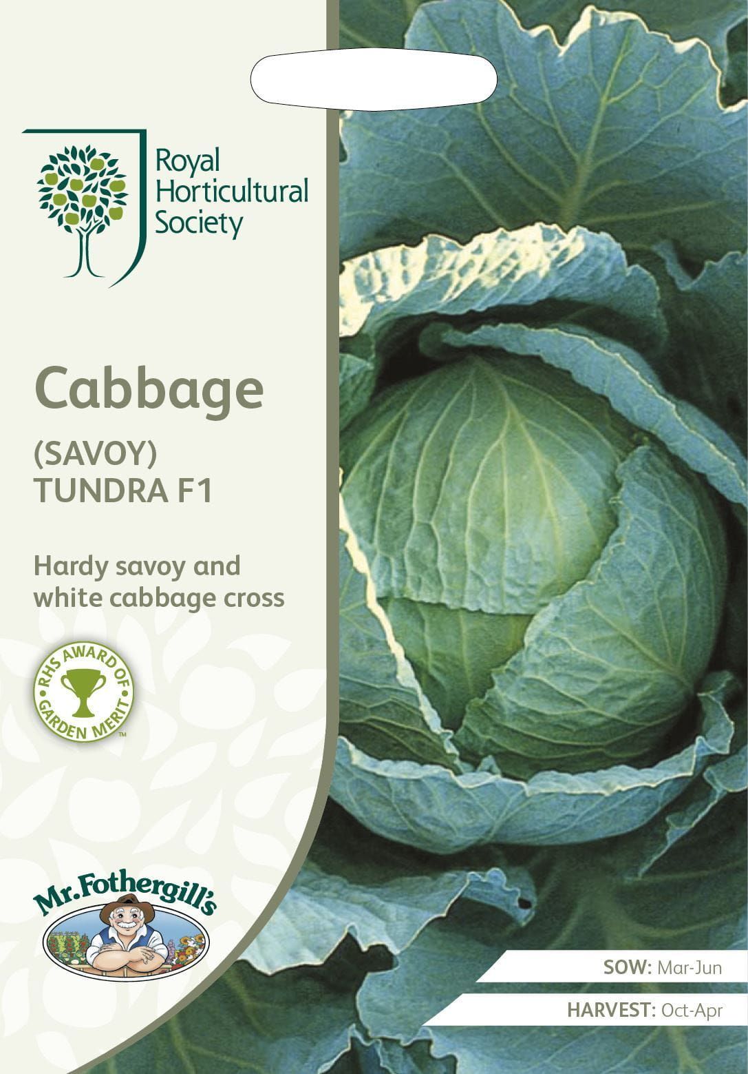 Mr Fothergills RHS Cabbage (Savoy) Tundra F1 50 Seeds