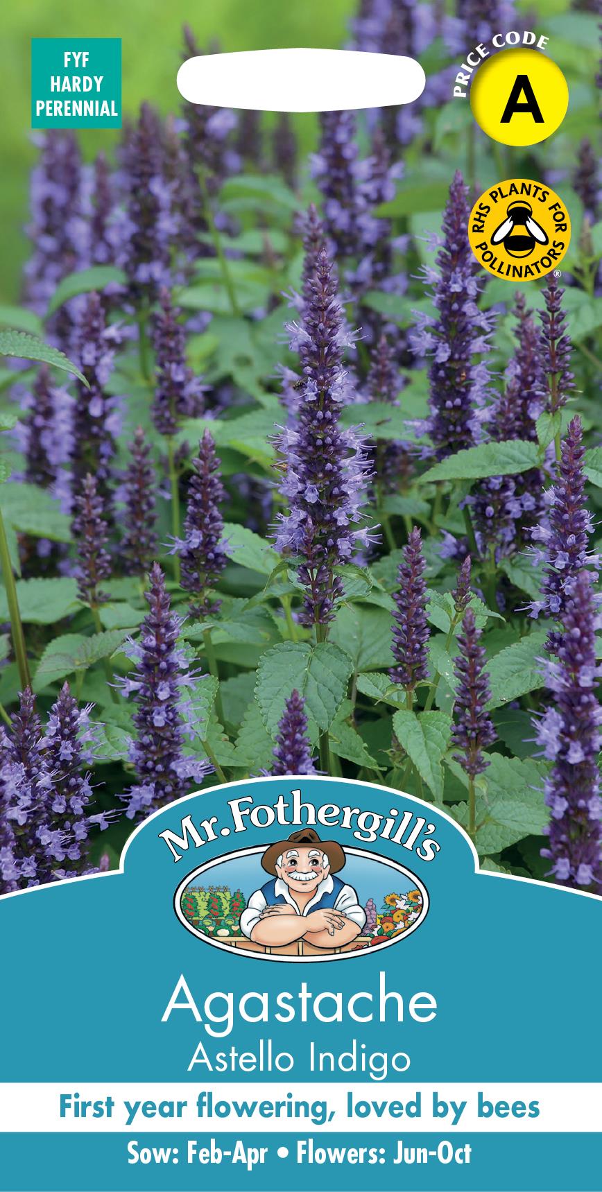 Mr Fothergills - Flower - Agastache - Astello Indigo - 20 Seeds