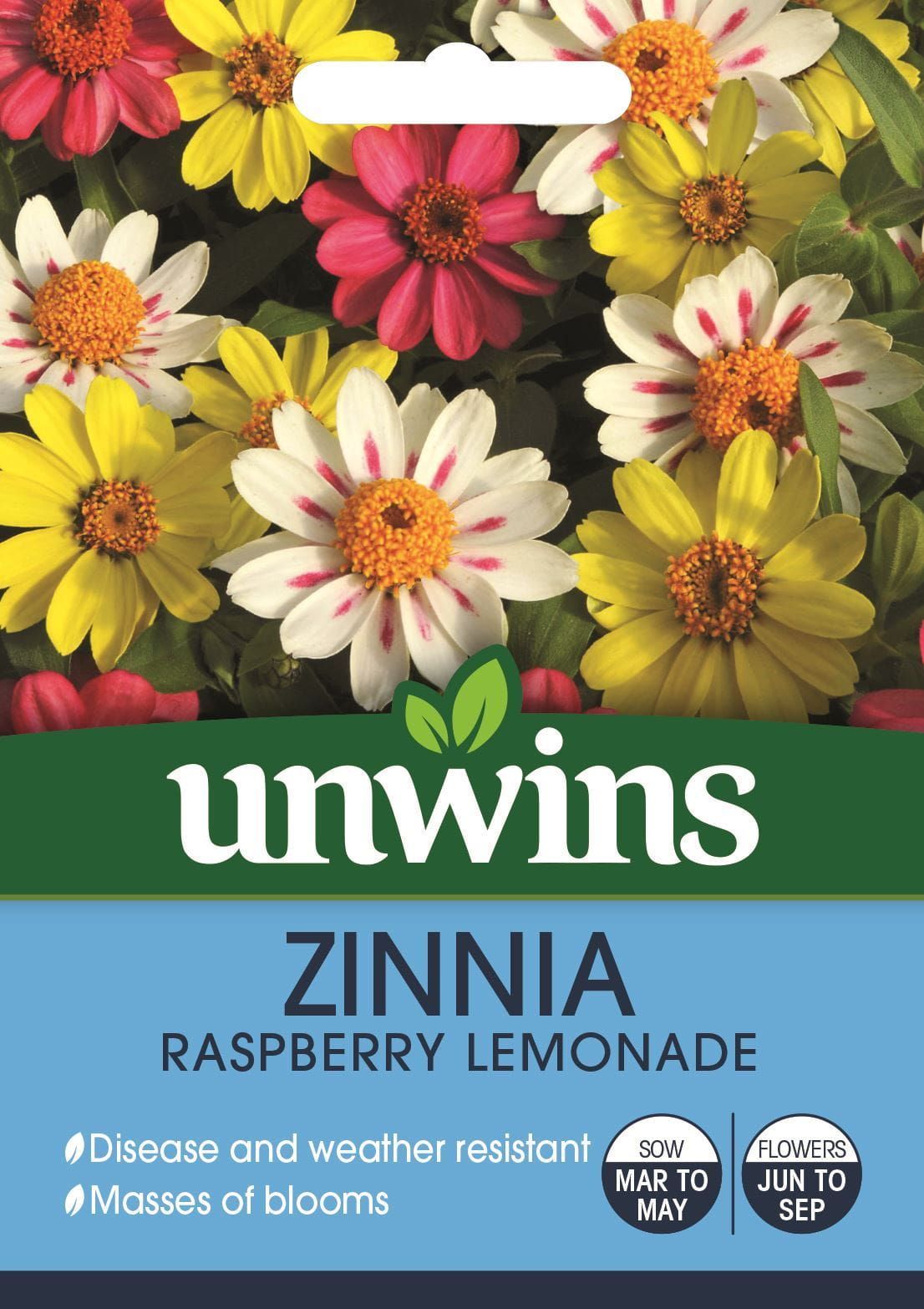 Unwins Zinnia Raspberry Lemonade 25 Seeds