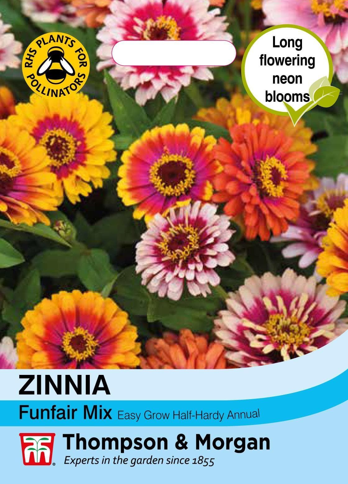 Thompson & Morgan Flower Zinnia Funfair Mix - 150 Seeds