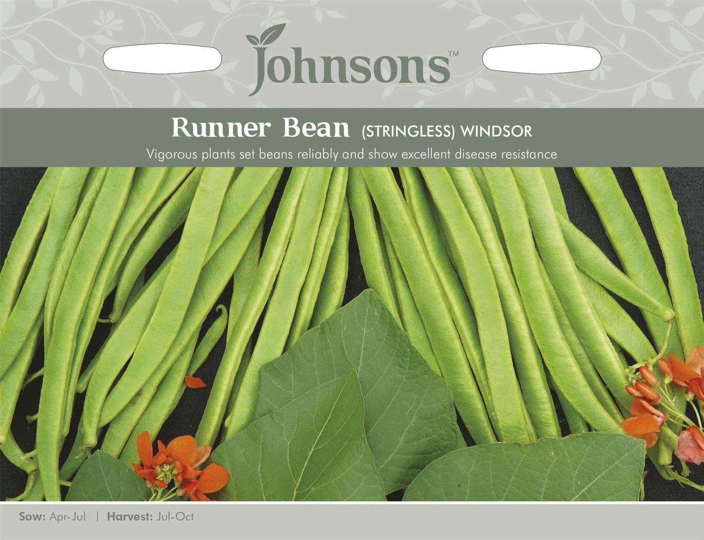 Johnsons Vegetable Runner Bean Windsor 50 Seeds