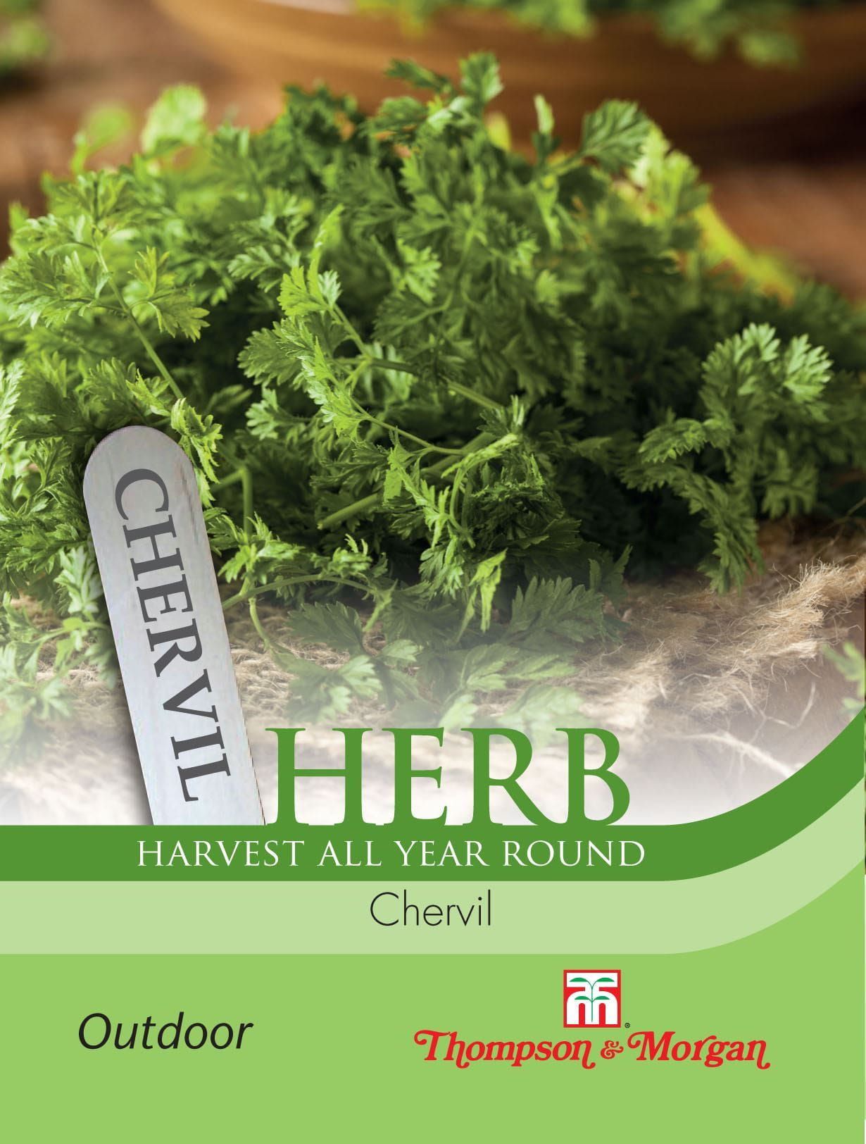 Thompson & Morgan Herb Chervil 750 Seed