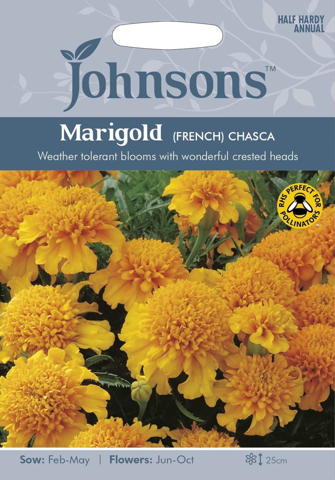 Johnsons French Marigold Chasca 60 Seeds