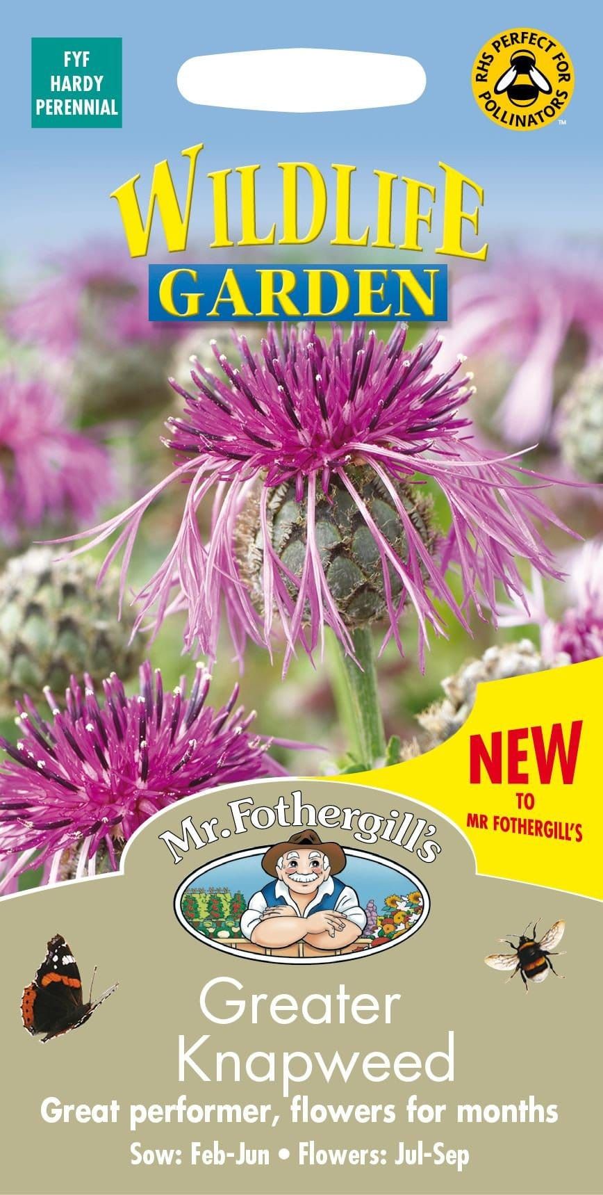 Mr Fothergills WildGreater Knapweed 100 Seeds