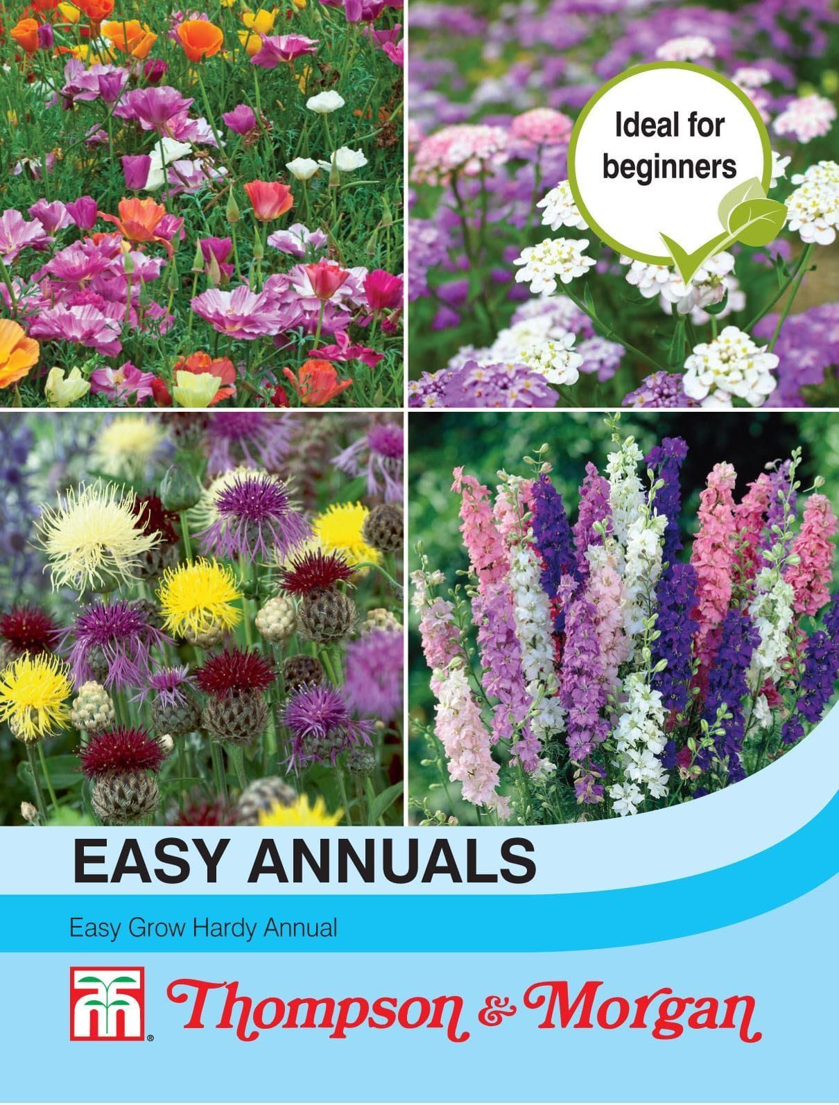 Thompson & Morgan Easy Annuals 2200 Seed