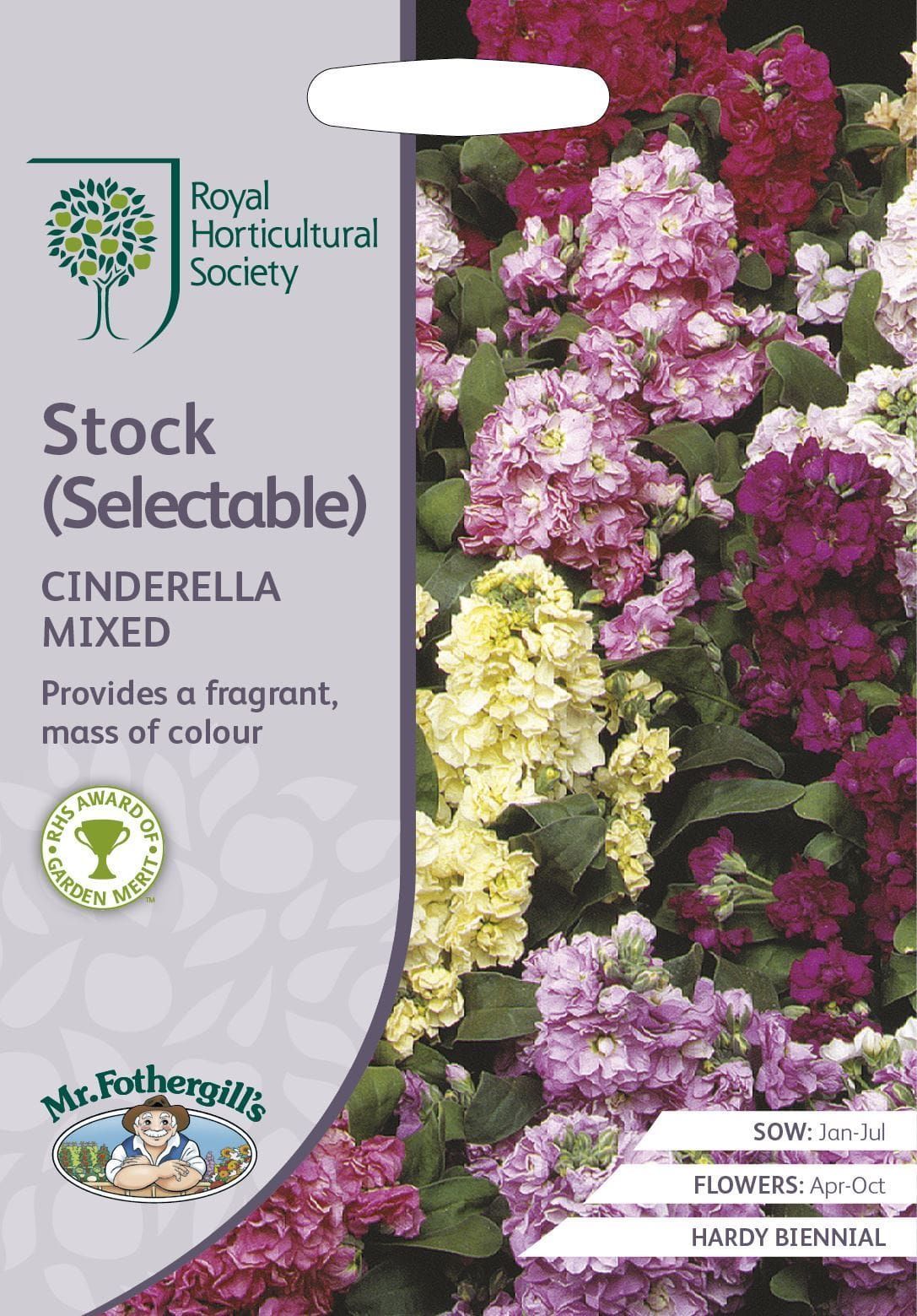 Mr Fothergills RHS Stock Cinderella Series Mixed 50 Seeds