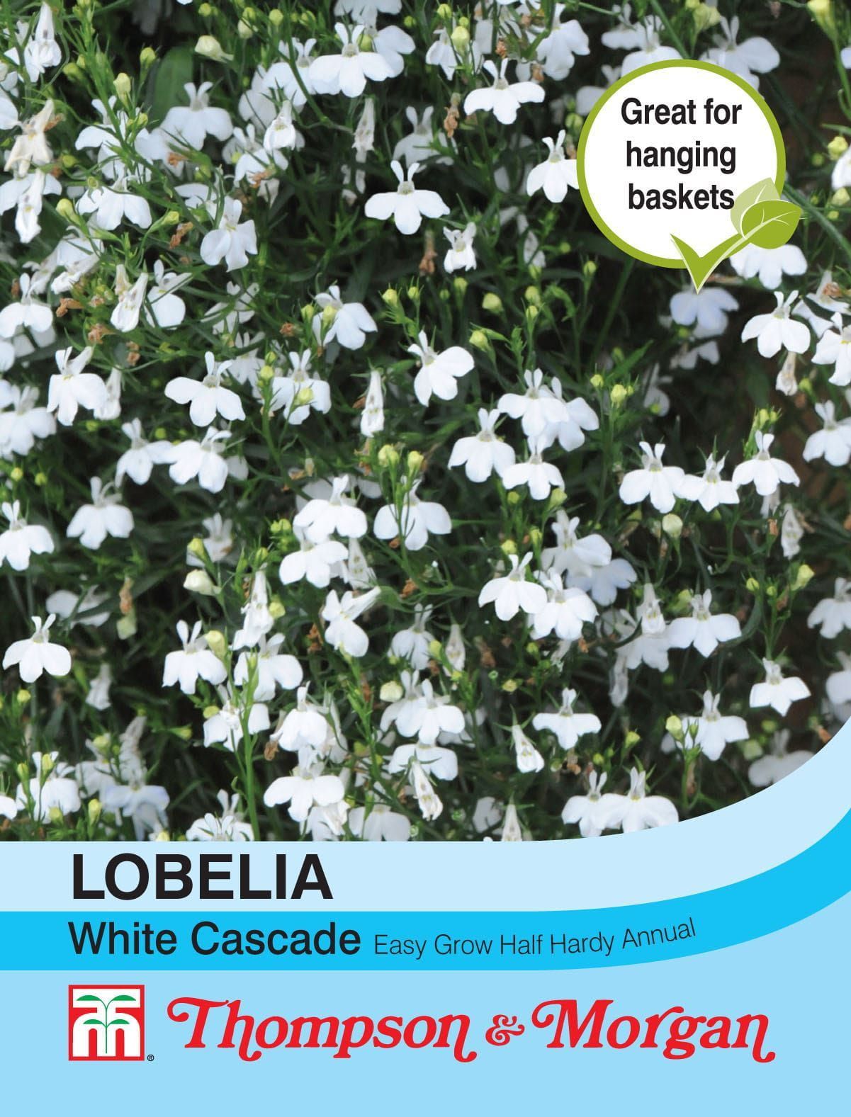 Thompson & Morgan Lobelia (Trailing) White Cascade 1000 Seed