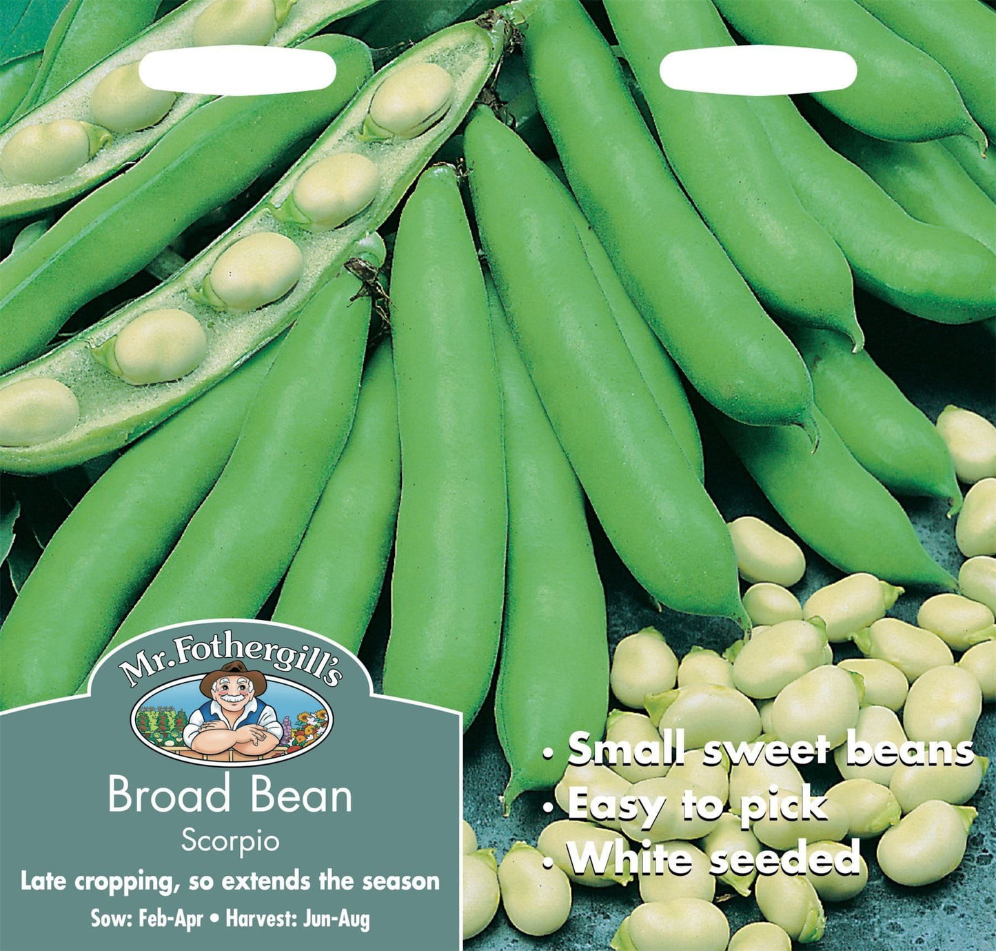 Mr Fothergills Broad Bean Scorpio 50 Seeds