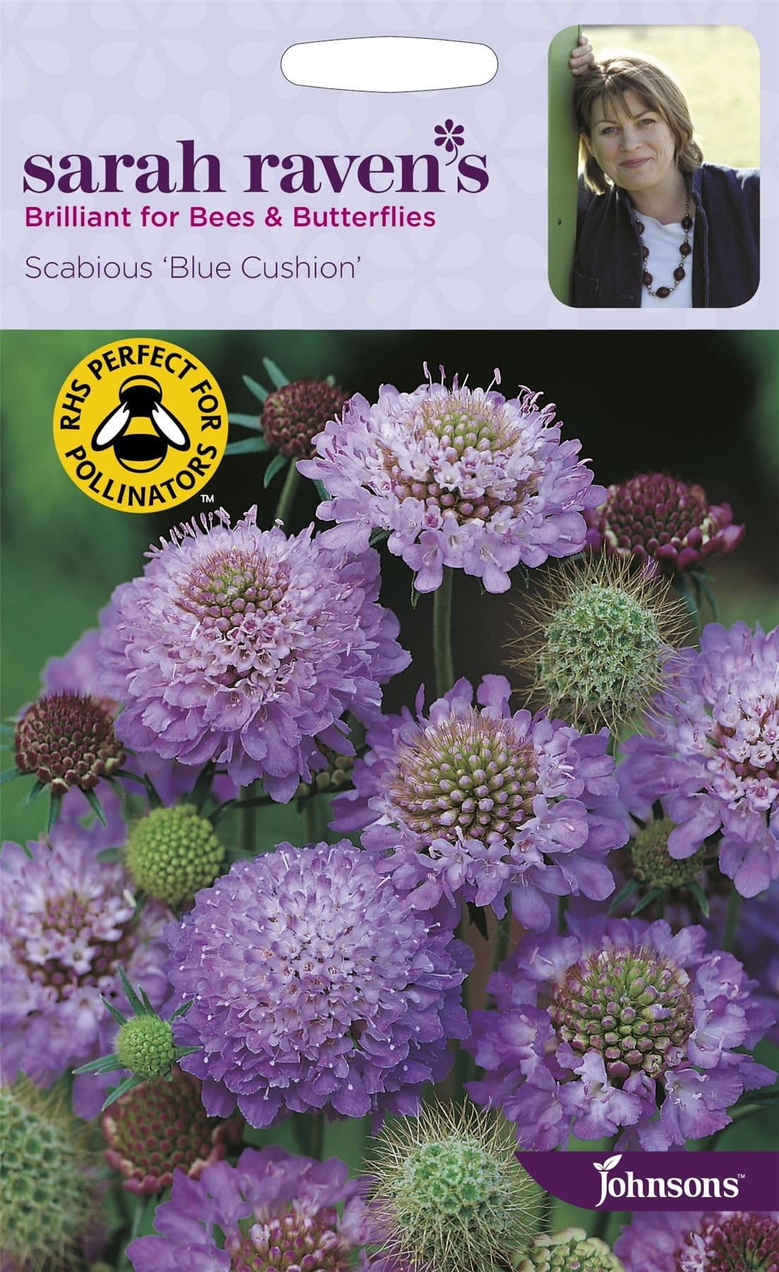 Johnsons Sarah Raven's Scabious Blue Cushion 75 Seeds