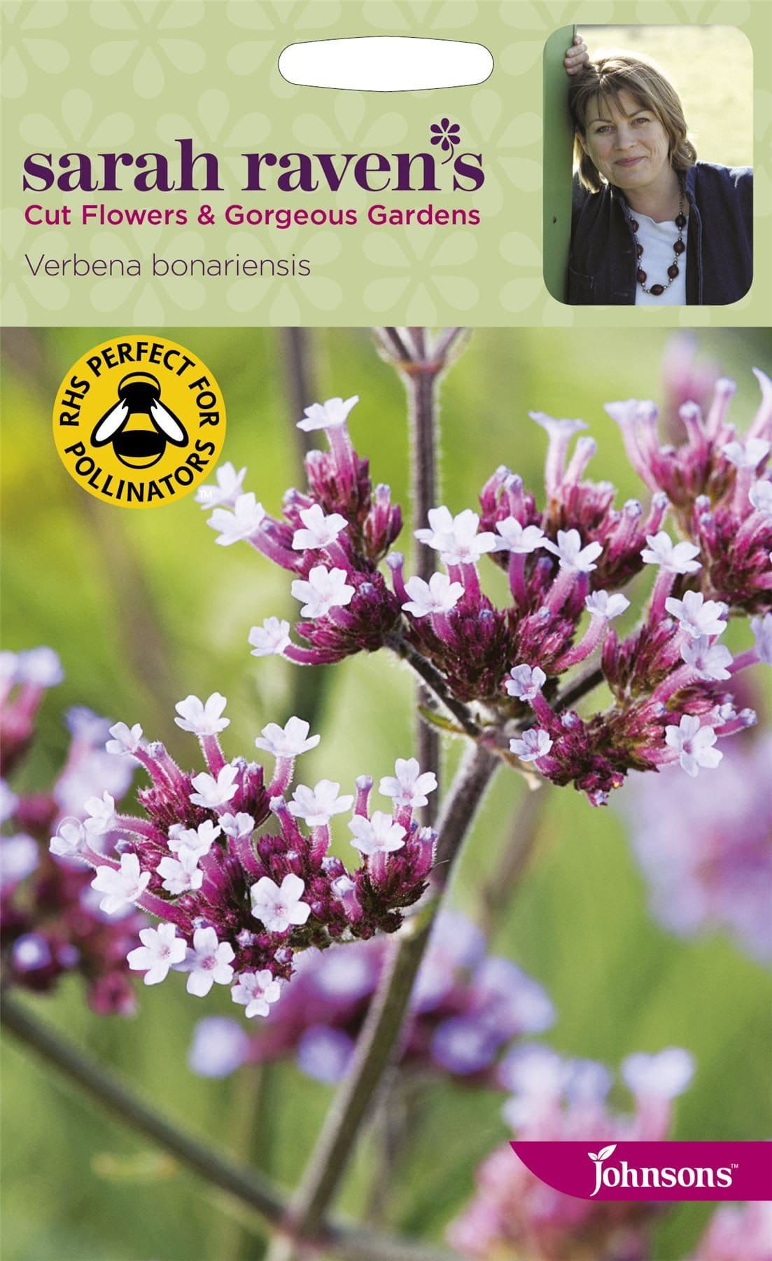 Johnsons Sarah Raven's Verbena Bonariensis 250 Seeds
