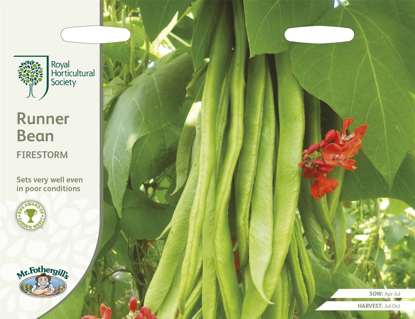 Mr Fothergills RHS Runner Bean Firestorm 40 Seeds