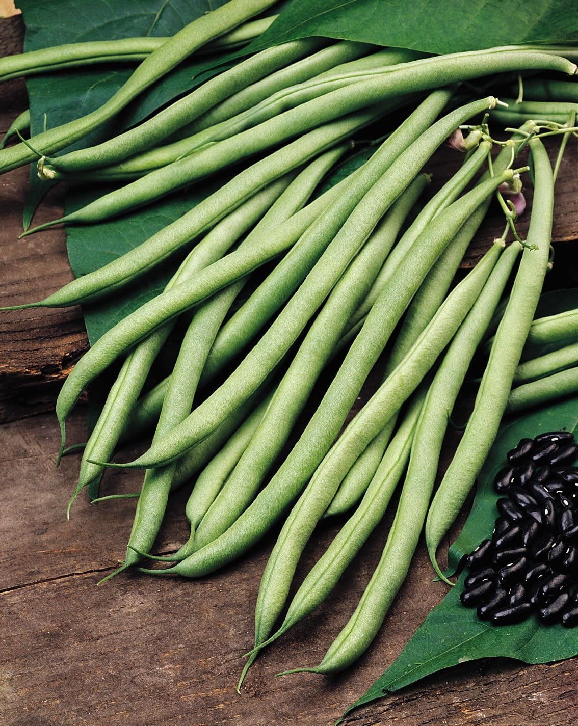 Climbing French Bean Cobra Seeds