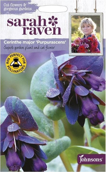 Johnsons Sarah Raven's Cerinthe Major Purpurascens 20 Seeds