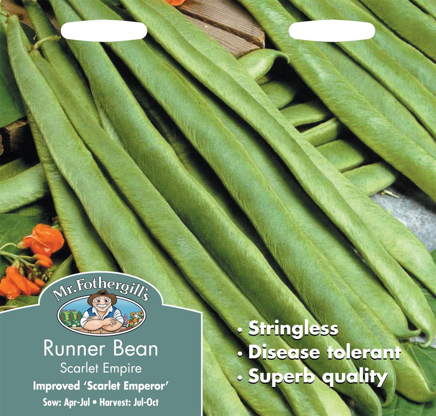 Mr Fothergills Runner Bean Scarlet Empire (Stringless) 50 Seeds