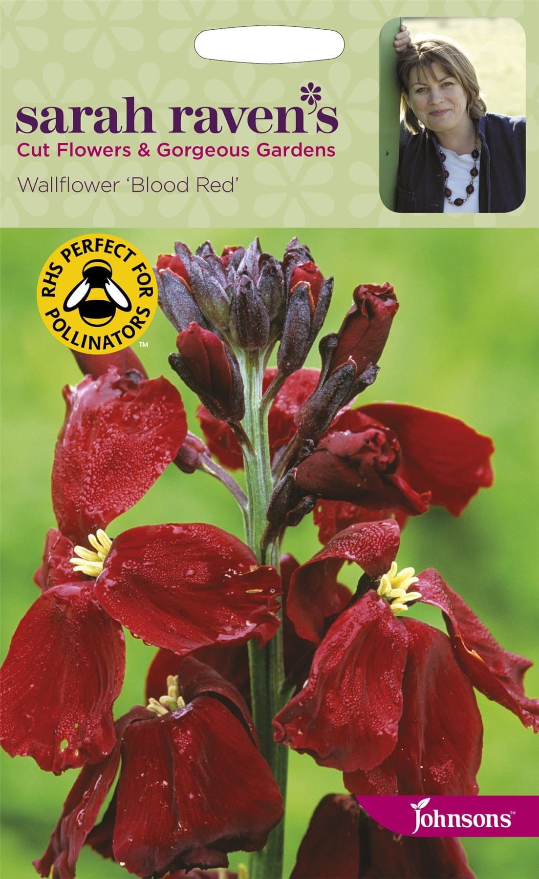Johnsons Sarah Raven's Wallflower Blood Red 400 Seeds