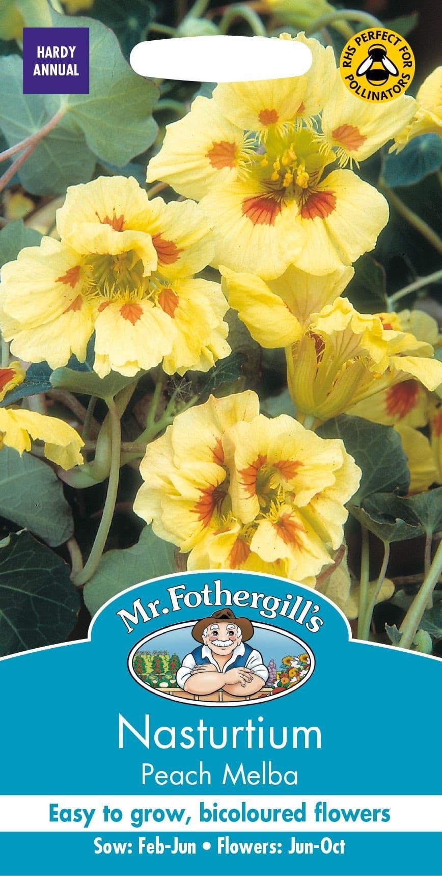 Mr Fothergills Nasturtium Peach Melba 25 Seeds