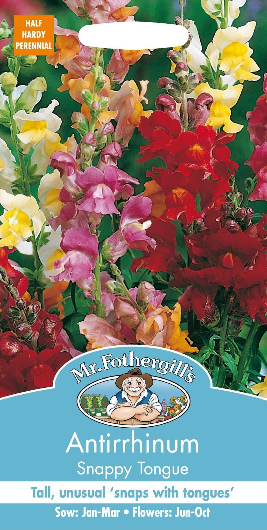 Mr Fothergills Antirrhinum Snappy Tongue 1000 Seeds