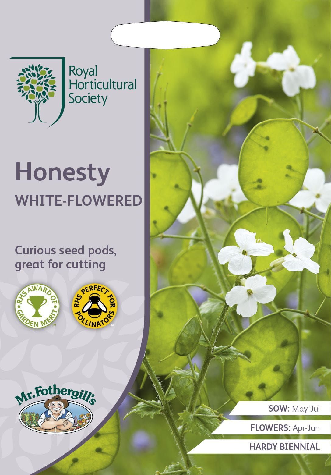 Mr Fothergills RHS Honesty White-Flowered 100 Seeds