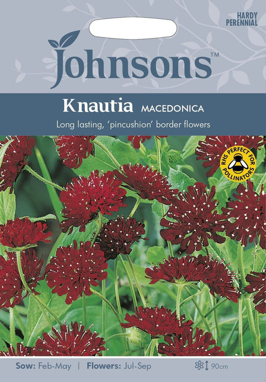 Johnsons Knautia Macedonica 50 Seeds