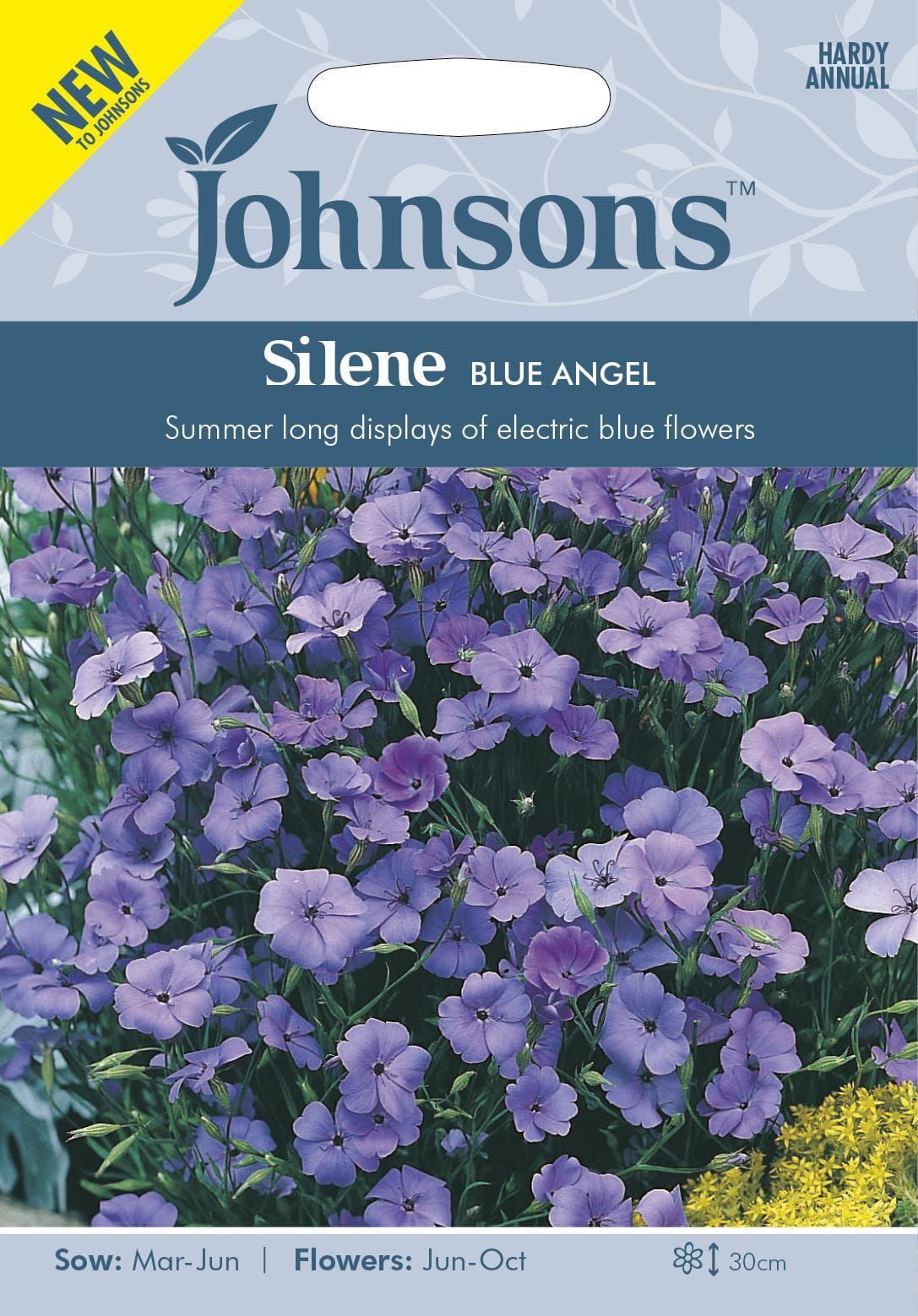 Johnsons Silene- Blue Angel 1000 Seeds