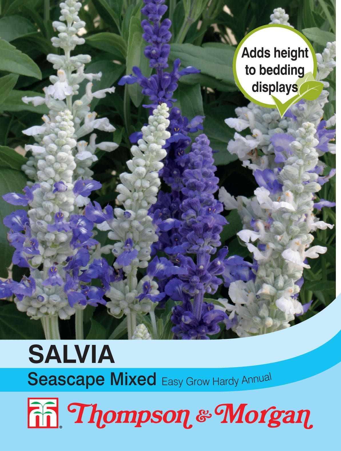 Thompson & Morgan Salvia Seascape Mixed 50 Seed