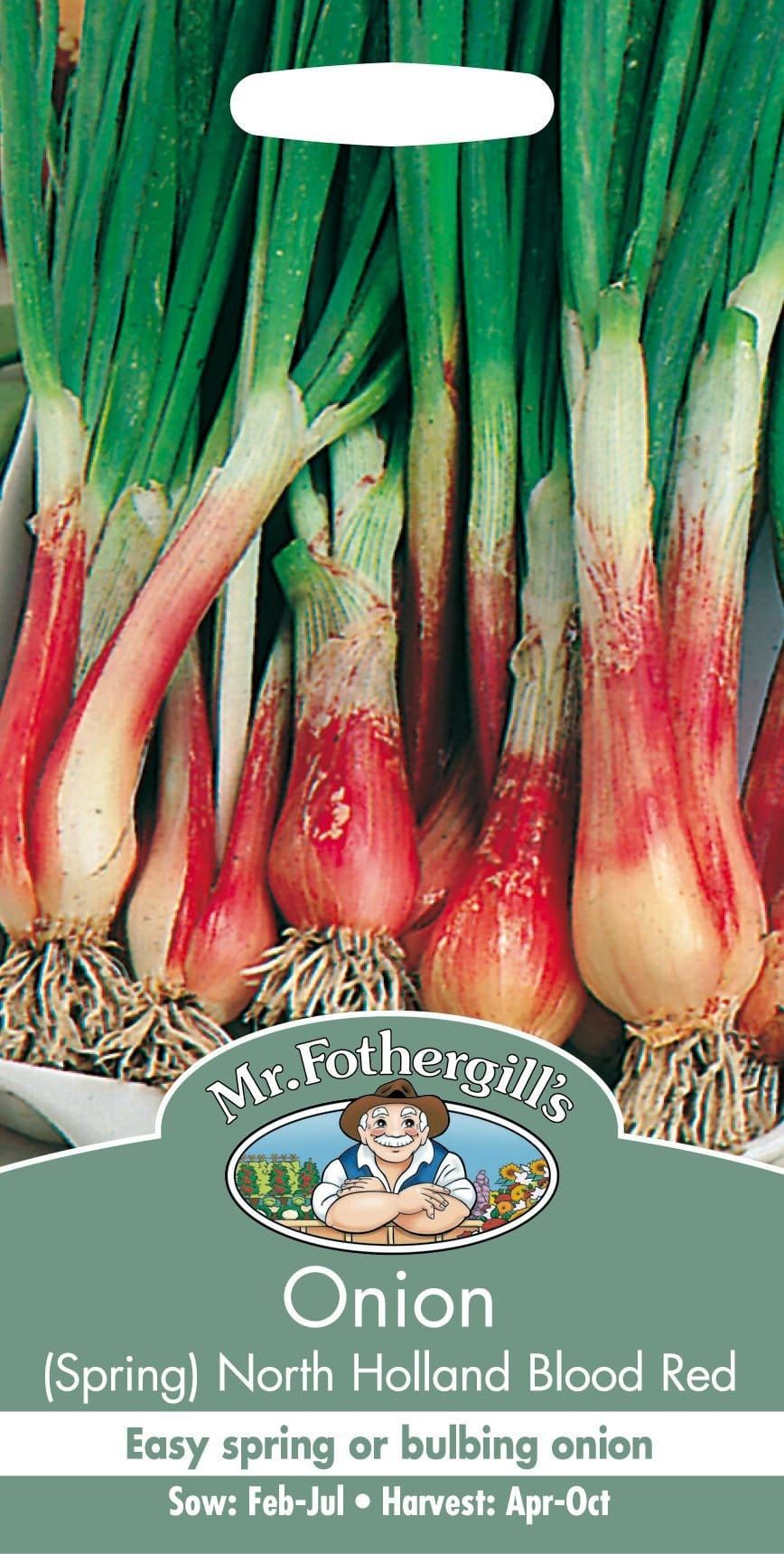Mr Fothergills Spring Onion North Holland Blood Red 350 Seeds