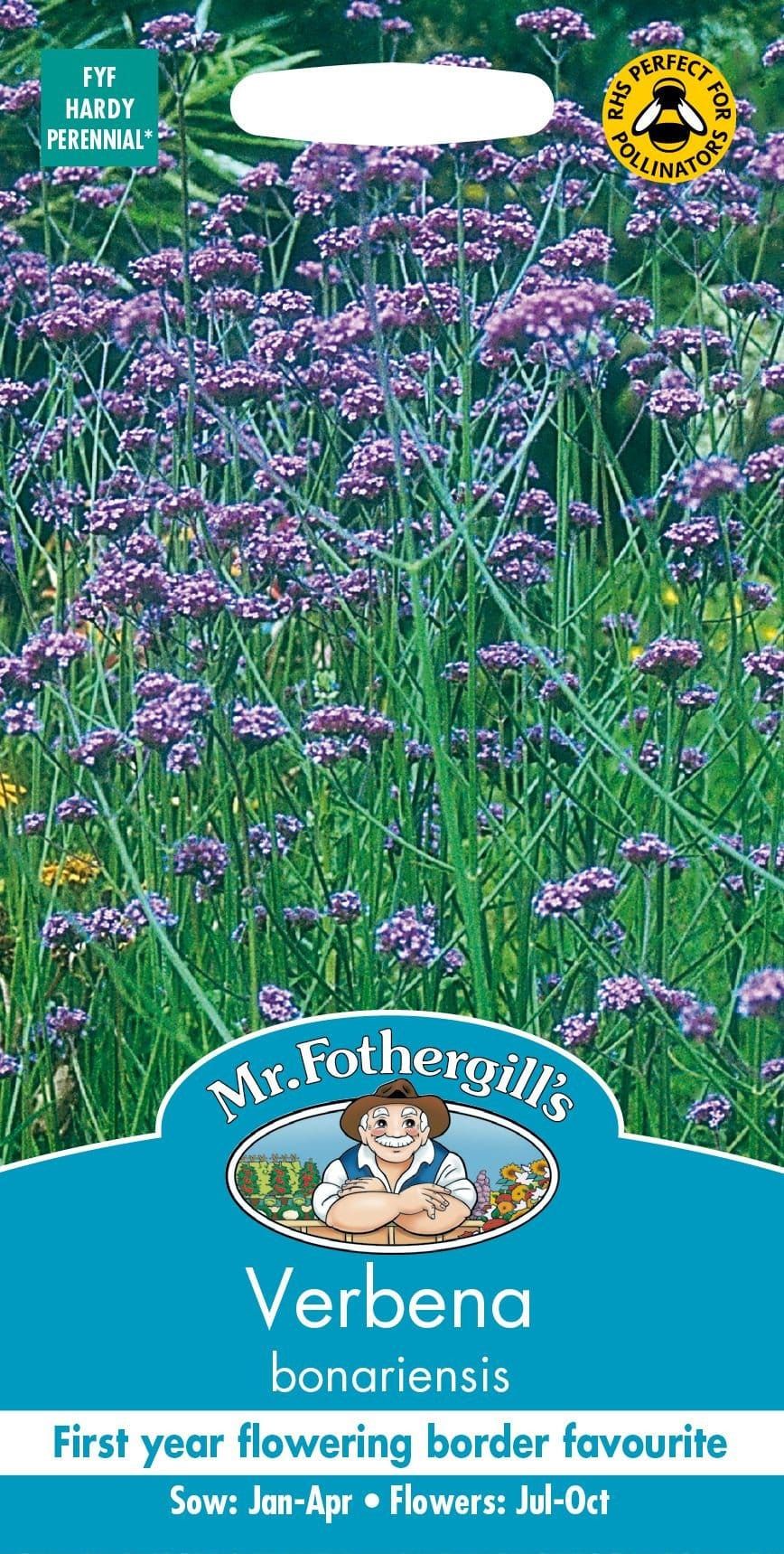 Mr Fothergills Verbena Bonariensis 200 Seeds