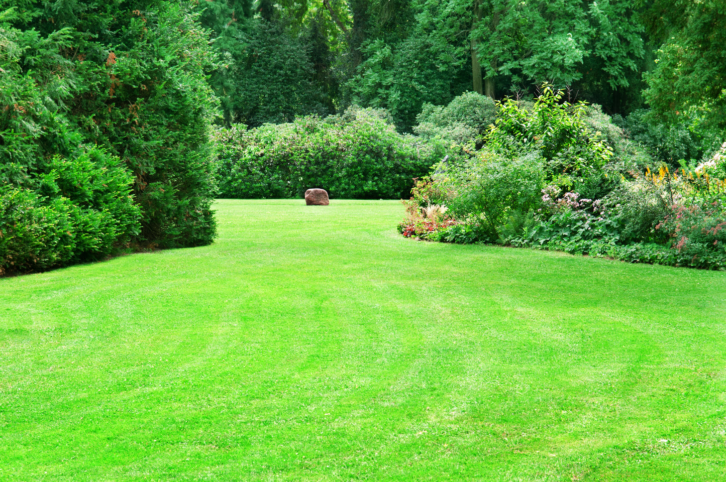 High Quality Lawn Grass Seed - Hard Wearing - Rapid Establishing