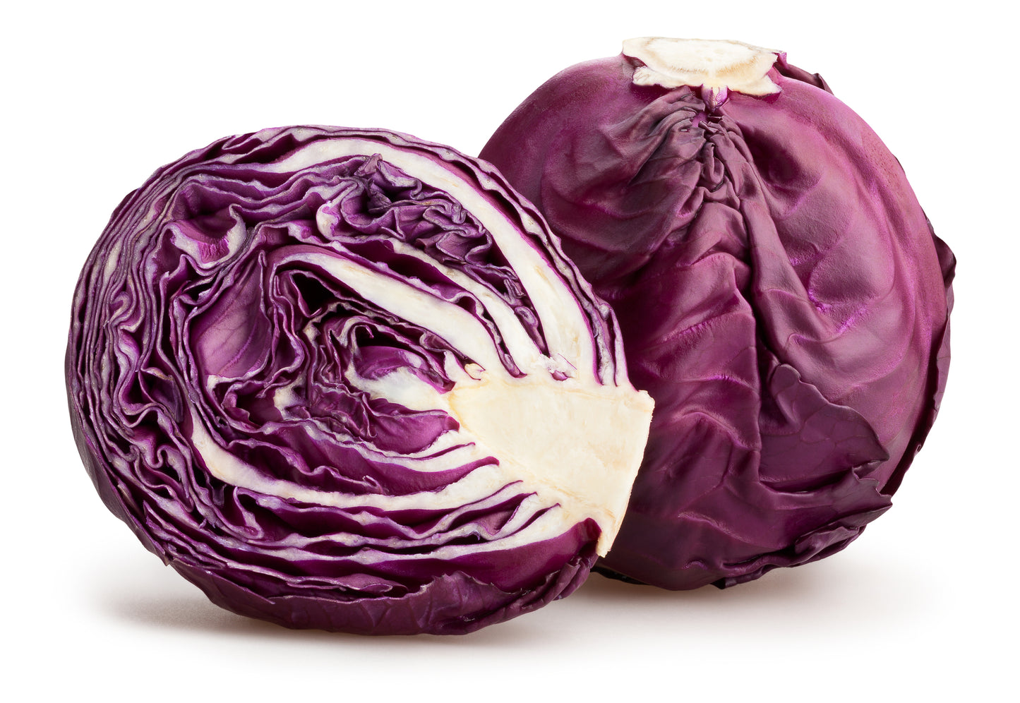 Cabbage Red Drumhead Seeds