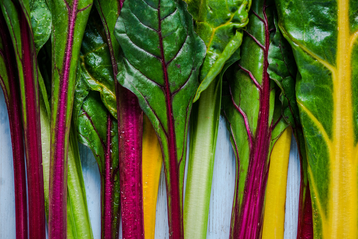 Beet Leaf Chard Rainbow Mixed Seeds