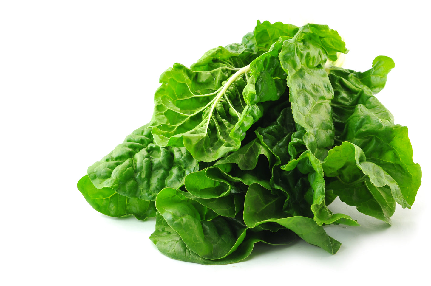 Beet Leaf Perpetual Spinach Seeds