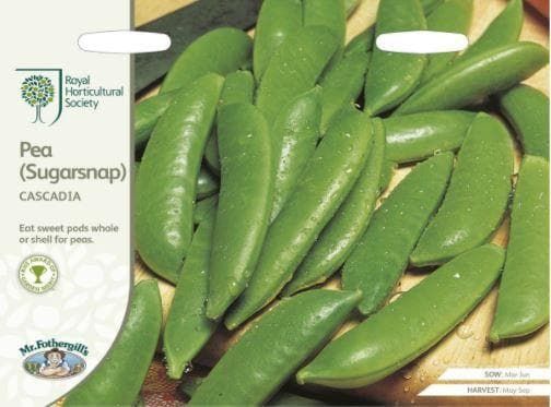 Mr Fothergills RHS Pea (Sugarsnap) Cascadia 250 Seeds