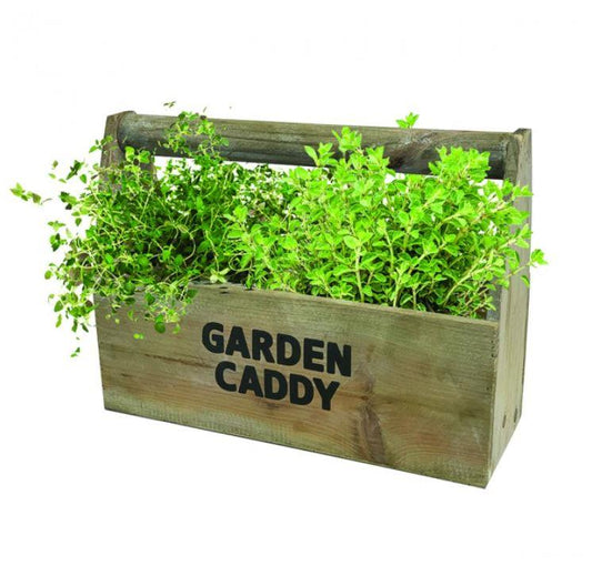 Taylors - Gift - Wooden Garden Caddy Including Oregano and Thyme Seed