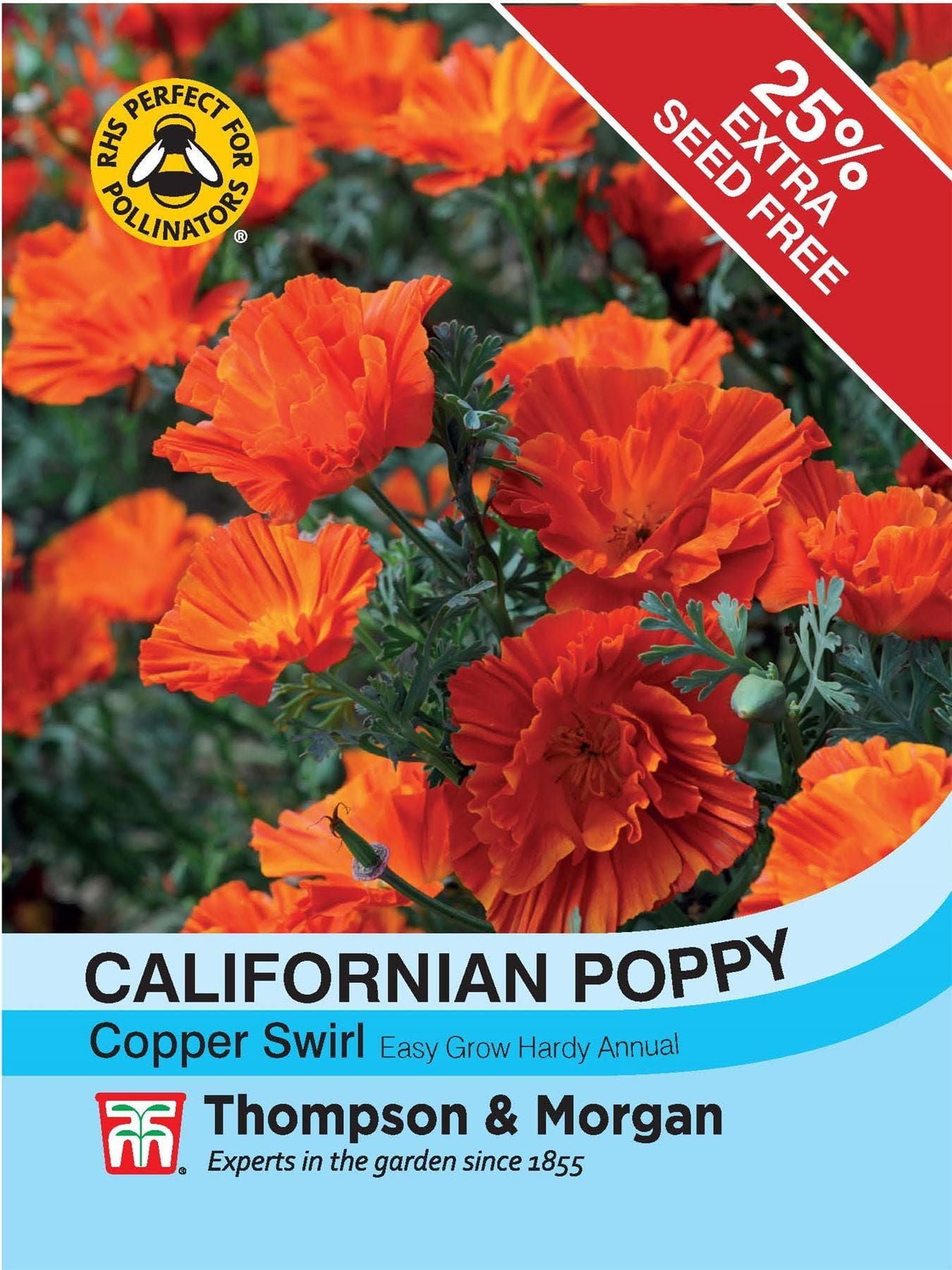 Thompson & Morgan - Flower - Californian Poppy - Copper Swirl - 150 Seeds