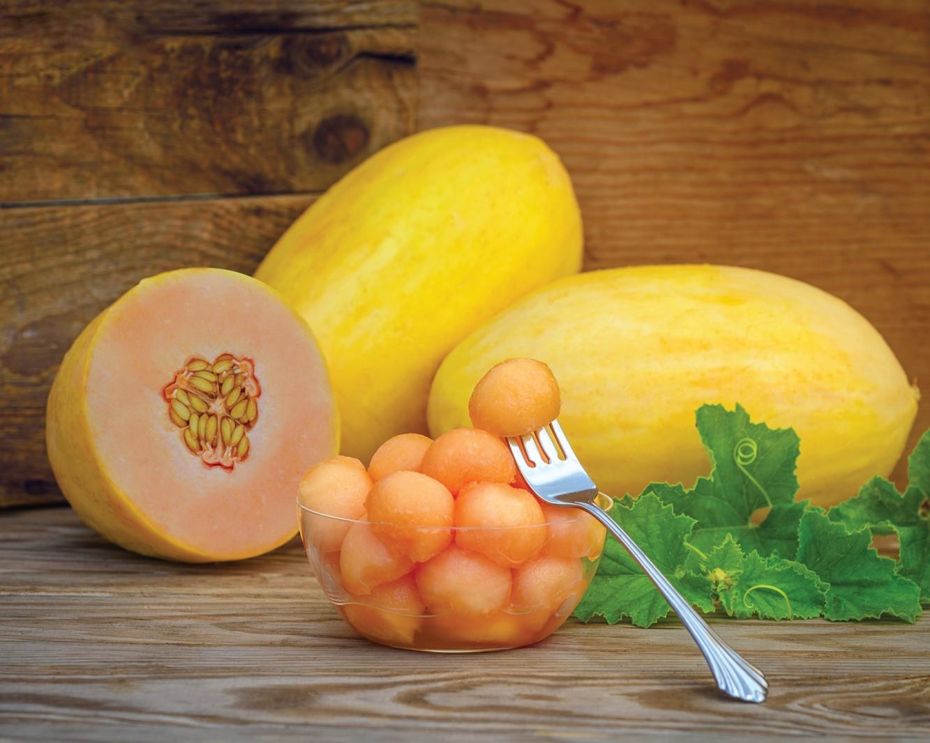 Melon Mangomel F1 Seeds