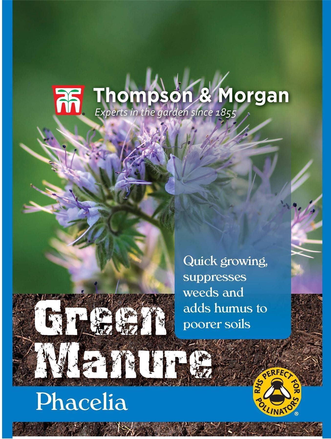 Thompson & Morgan Green Manure Green Manure Phacelia 50 Gram