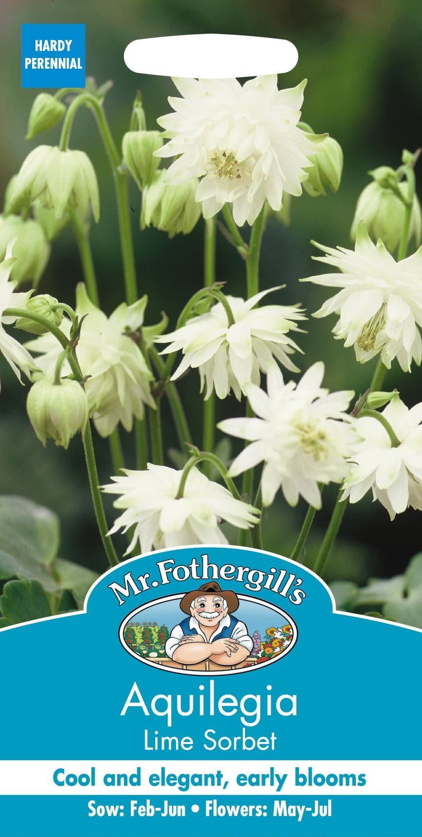 Mr Fothergills Aquilegia Lime Sorbet 25 Seeds
