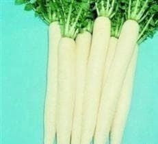 Radish Mooli April Cross F1 Hybrid Seeds