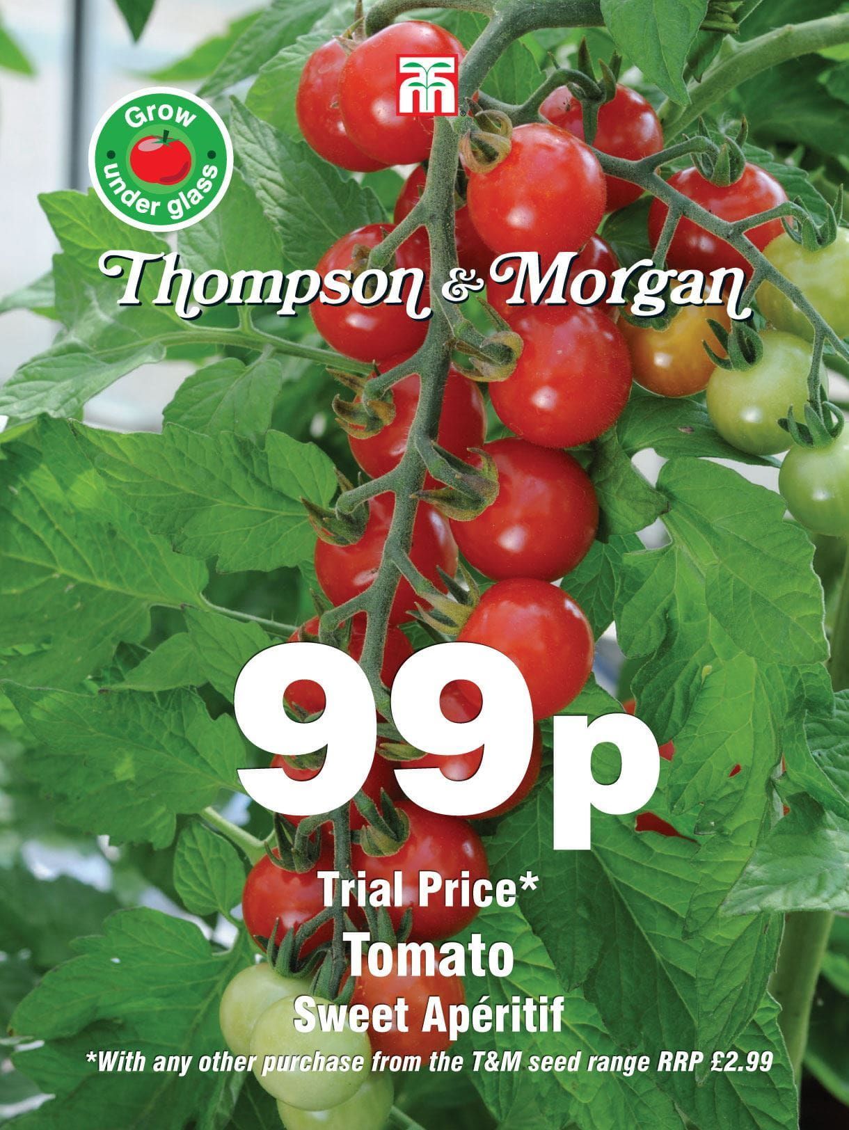 Thompson & Morgan - Vegetable - Tomato - Sweet Aperitif - 10 Seeds