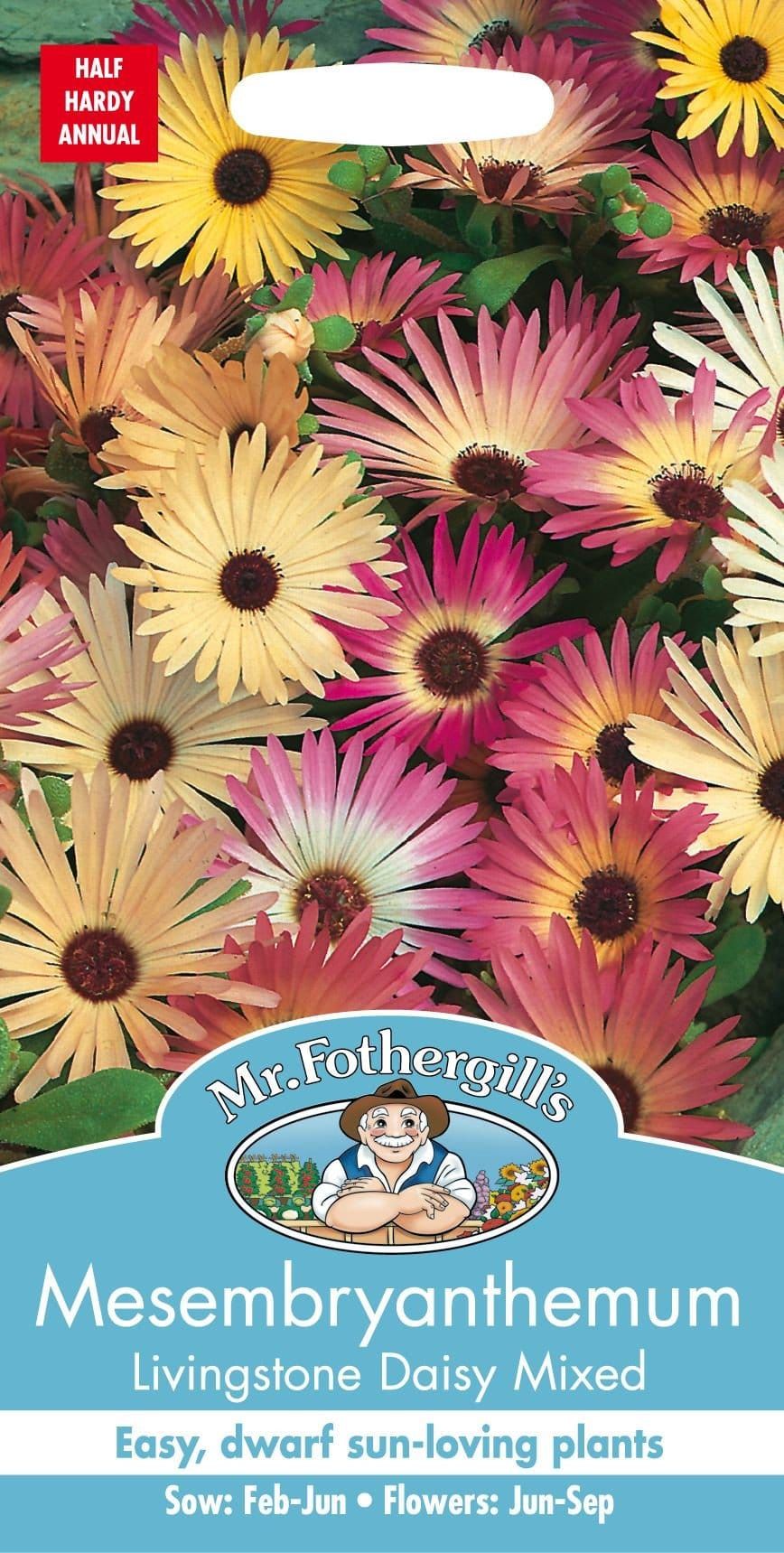 Mr Fothergills Mesembryanthemum Livingstone Daisy Mixed 2000 Seeds