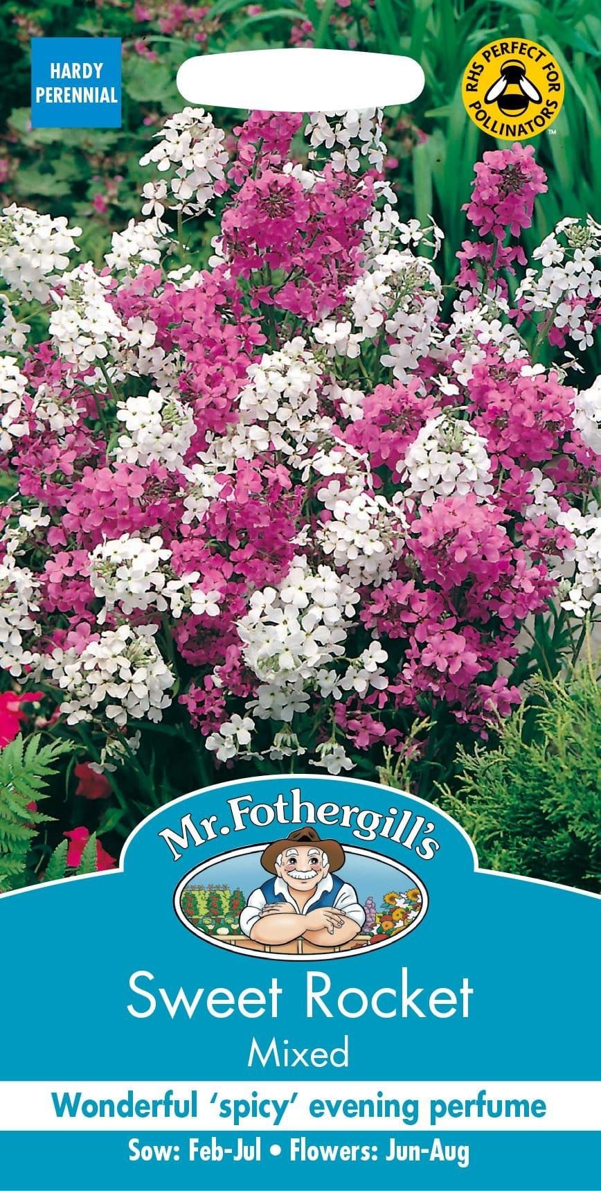 Mr Fothergills Sweet Rocket 500 Seeds