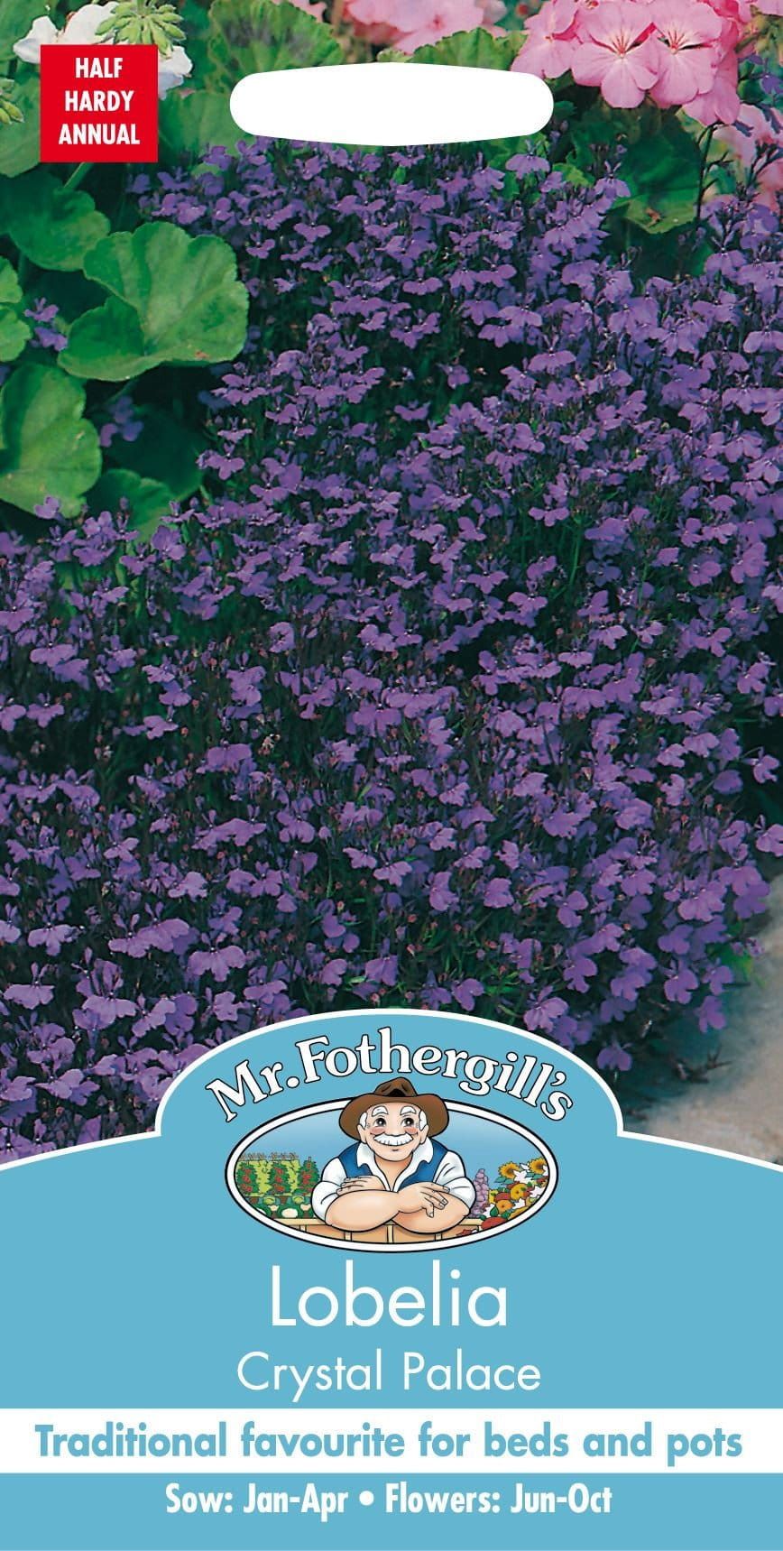 Mr Fothergills Lobelia Crystal Palace 2500 Seeds