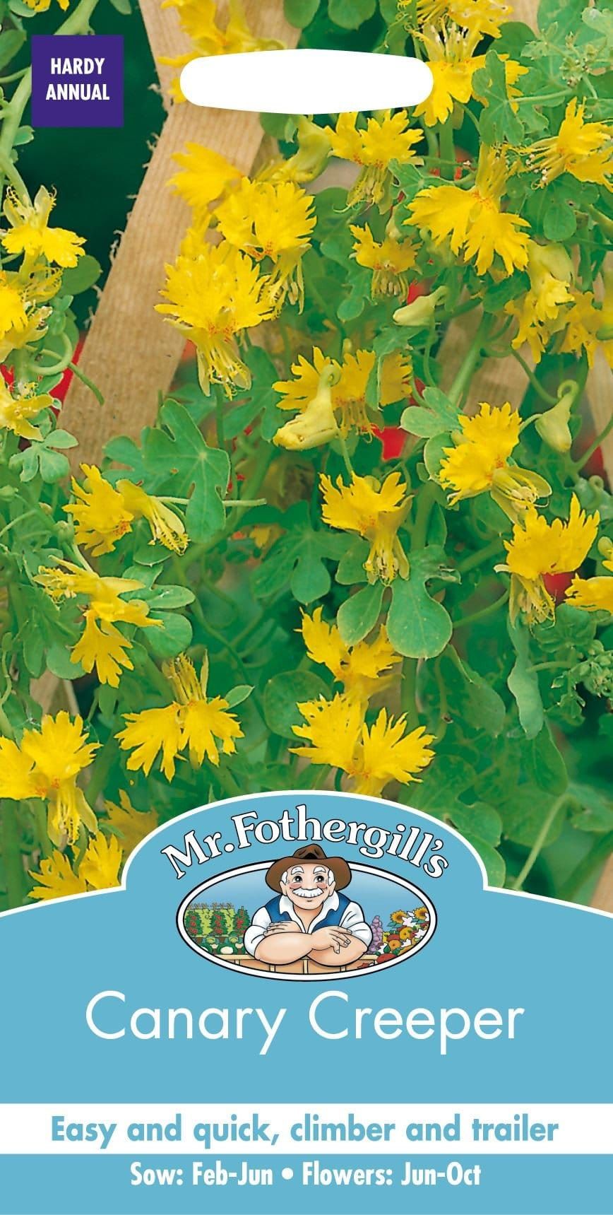 Mr Fothergills Canary Creeper 25 Seeds