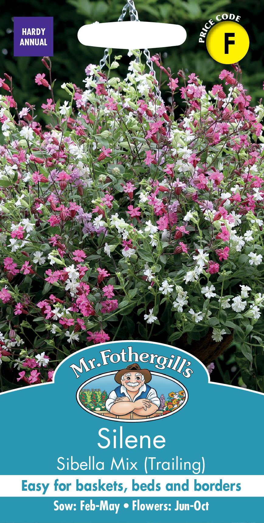 Mr Fothergills - Flower - Silene - Sibella Mix (Trailing) - 20 Seeds