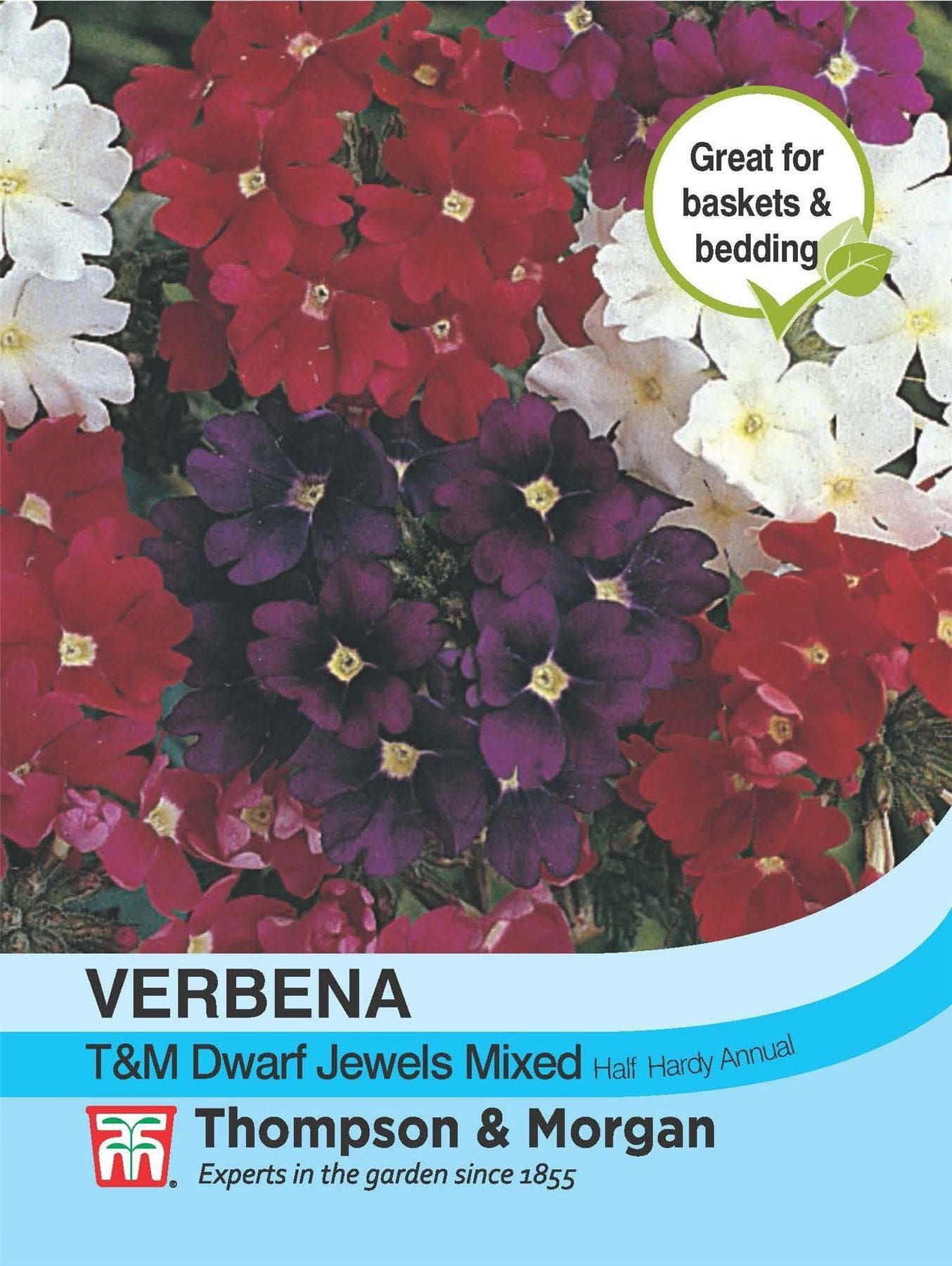 Thompson & Morgan Verbena T&M Dwarf Jewels Mix Seed