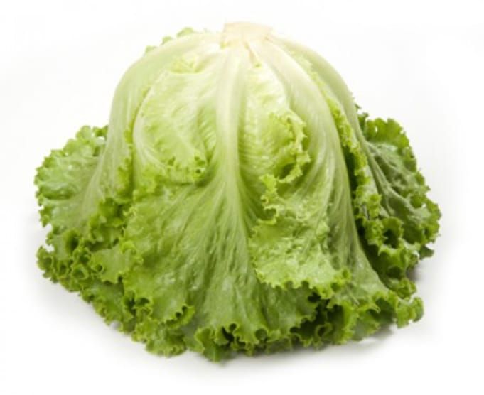 Lettuce Green Batavia Emocion RZ (81-22) Seeds