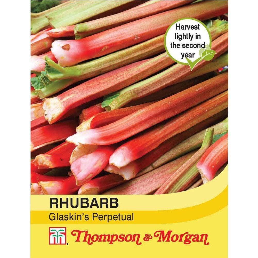 Thompson & Morgan Rhubarb Glaskin's Perpetual Seed