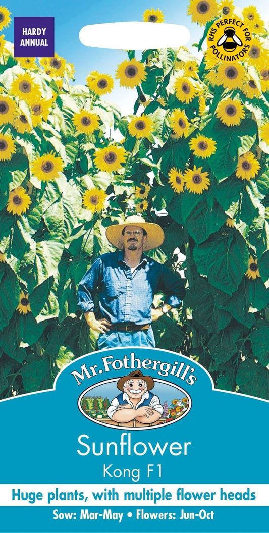 Mr Fothergills Sunflower Kong F1 20 Seeds