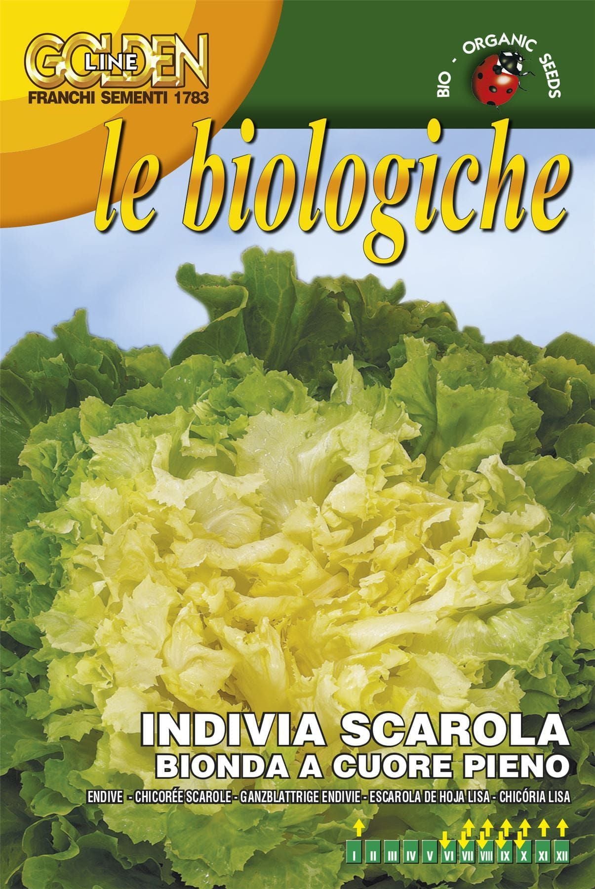 Franchi Organic BIOB121/2 Escarole Bionda CP Seeds